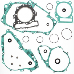 WINDEROSA 2021/07 (VERTEX) KOMPLET USZCZELEK Z USZCZELNIACZAMI SILNIKOWYMI CAN-AM DS650 00-07