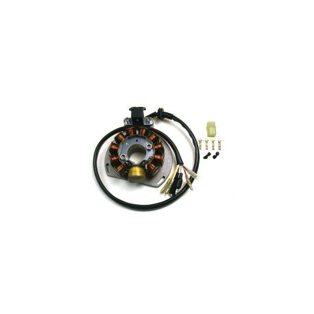 ELECTREX UZWOJENIE ALTERNATORA STATOR KTM EXC 125/200/300