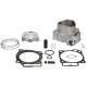 CYLINDER WORKS CYLINDER KOMPLETNY HONDA CRF 450R '19-'20, CRF 450RWE '19-'20, CRF 450RX '19-20 STANDARD 96MM (HC 14.4:1) (24374)