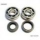 BEARING WORX ŁOŻYSKA WAŁU KORBOWEGO Z USZCZELNIACZAMI YAMAHA YZ 125 86-00 (NTN) (24-1024)