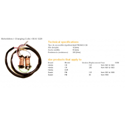 DZE CEWKA WZBUDZENIA (2SZT. KPL.) HONDA CR125/250 81-83, SUZUKI RM125 81-88