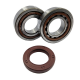 BEARING WORX 2022/02 ŁOŻYSKA WAŁU KORBOWEGO KTM SX/EXC 400/450/520/525 (MADE IN JAPAN) (NTN) (24-1106)