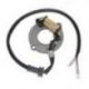 ELECTROSPORT UZWOJENIE ALTERNATORA (STATOR) HONDA CR 80 '83-'02, 85 '03-'04