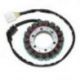 ELECTROSPORT UZWOJENIE ALTERNATORA (STATOR) HONDA CBR 900RR '00-'01 (CBR929)