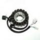 ELECTROSPORT UZWOJENIE ALTERNATORA (STATOR) SUZUKI DL 650 V-STROM (02-07)