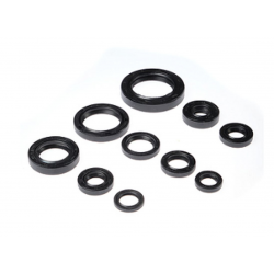 BEARING WORX 2022/12 Engine Oil Seal Kit (822107)