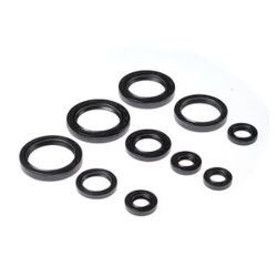 BEARING WORX 2022/12 Engine Oil Seal Kit (822237)