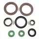 BEARING WORX 2022/12 Engine Oil Seal Kit (822248)