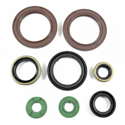 BEARING WORX 2022/12 Engine Oil Seal Kit (822248)