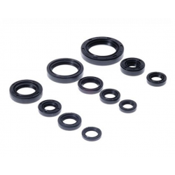 BEARING WORX 2022/12 Engine Oil Seal Kit (822271)