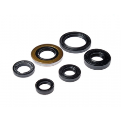 BEARING WORX 2022/12 Engine Oil Seal Kit (822278)