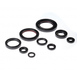 BEARING WORX 2022/12 Engine Oil Seal Kit (822312)