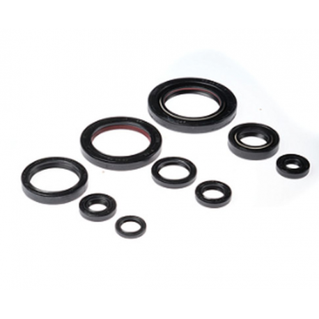 BEARING WORX 2022/12 Engine Oil Seal Kit (822312)