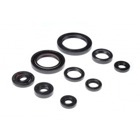 BEARING WORX 2022/12 Engine Oil Seal Kit (822332)