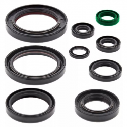 BEARING WORX 2022/12 Engine Oil Seal Kit (822352)