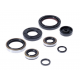 BEARING WORX 2022/12 Engine Oil Seal Kit (822264)