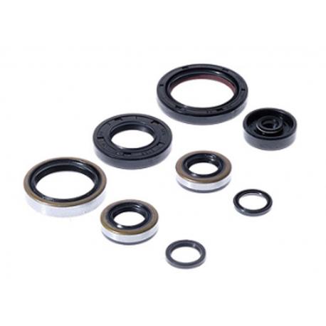 BEARING WORX 2022/12 Engine Oil Seal Kit (822264)