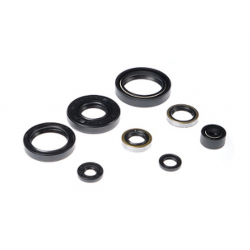 BEARING WORX 2022/12 Engine Oil Seal Kit (822183)