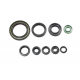 BEARING WORX 2022/12 Engine Oil Seal Kit (822319)