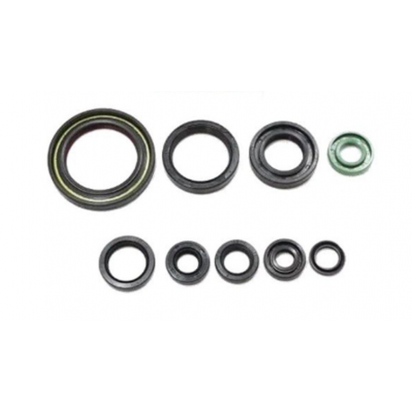 BEARING WORX 2022/12 Engine Oil Seal Kit (822319)