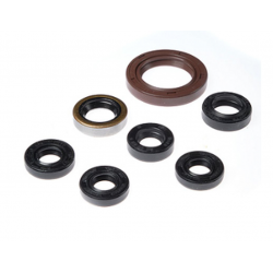 BEARING WORX 2022/12 Engine Oil Seal Kit (822201)