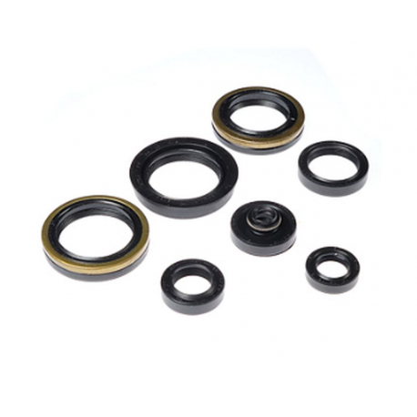 BEARING WORX 2022/12 Engine Oil Seal Kit (822317)