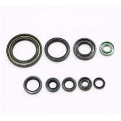 BEARING WORX 2022/12 Engine Oil Seal Kit (822228)