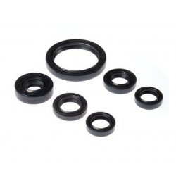 BEARING WORX 2022/12 Engine Oil Seal Kit (822238)