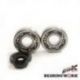 BEARING WORX ŁOŻYSKA WAŁU KORBOWEGO Z USZCZELNIACZAMI HONDA CR 125 79-07 (MADE IN JAPAN) (NTN) (24-1003) CBK30002