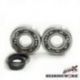 BEARING WORX ŁOŻYSKA WAŁU KORBOWEGO Z USZCZELNIACZAMI SUZUKI RM 250 96-02 (MADE IN JAPAN) (NTN) (24-1021)