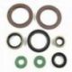 BEARING WORX 2022/12 Engine Oil Seal Kit (822248)