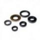 BEARING WORX 2022/12 Engine Oil Seal Kit (822278)