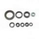 BEARING WORX 2022/12 Engine Oil Seal Kit (822319)