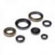 BEARING WORX 2022/12 Engine Oil Seal Kit (822266)