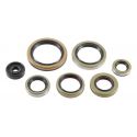 Winderosa (Vertex), sada gufer motoru, KTM SX 250 17-19, XC 250 17-18, XC 300 17-18, XC-W 250 17-18, HUSQ