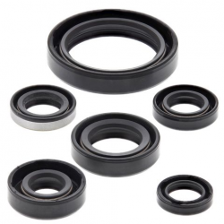 Winderosa (Vertex), sada gufer motoru, Kawasaki KLX250R 94-96, KLX250S 06-18, KLX250SF 09-10, KLX300(R) 9