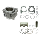 NACHMAN CYLINDER KPL. YAMAHA YFM 700 GRIZZLY 14-15, YXC 700 VIKING 14-18 STD 102MM (20104-K02)