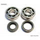 BEARING WORX ŁOŻYSKA WAŁU KORBOWEGO Z USZCZELNIACZAMI YAMAHA YZ 125 86-00 (NTN) (24-1024)