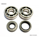 BEARING WORX ŁOŻYSKA WAŁU KORBOWEGO Z USZCZELNIACZAMI YAMAHA YZ 125 01-04 (NTN) (24-1025)