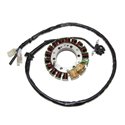 Electrosport, stator alternátoru se světly, Honda TRX 400EX SPORTRAX (99-14)