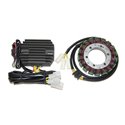 Electrosport, stator alternátoru, s regulátorem, Kawasaki KVF 650 (06-11), KVF 750 BRUTE FORCE (05-07) HIGH POWER KIT (