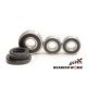 Bearing Worx, sada ložisek a gufer zadního kola, XT 600 84-85 XTZ 660 TENERE 94-09, TM 125/144/250/300/450/530 '05-'11 (25-12