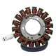 DZE, stator alternátoru, Yamaha FZ6 FAZER '04-09 (OEM 5VX-81410-00)