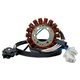 DZE, stator alternátoru, Yamaha XV 250 VIRAGO '95-07, XV 250 V-STAR '08-20, XV 125 VIRAGO '97, (OEM 3DM-81410-00