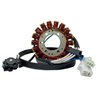 DZE, stator alternátoru, Yamaha XV 250 VIRAGO '95-07, XV 250 V-STAR '08-20, XV 125 VIRAGO '97, (OEM 3DM-81410-00