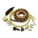 Electrex, stator alternátoru, Honda CBR 900 (92-99), VFR 750/800, CBR 1100 XX, Ducati (107X42X24)