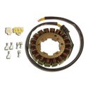 Electrex, stator alternátoru, Honda CBR 900 RR (00-01), CBR 929 (00-01) FJS 600 SILVERWING '01-'10 (115X54X18mm)