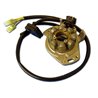 Electrex, stator alternátoru, Honda CR 250 '97-'98