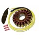 Electrex, stator alternátoru, Kawasaki VULCAN VN700, VN750, VN800, VN800 CLASSIC (104X38X18mm)