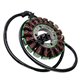 Electrosport, stator alternátoru, Honda CBF 1000 '10-'16